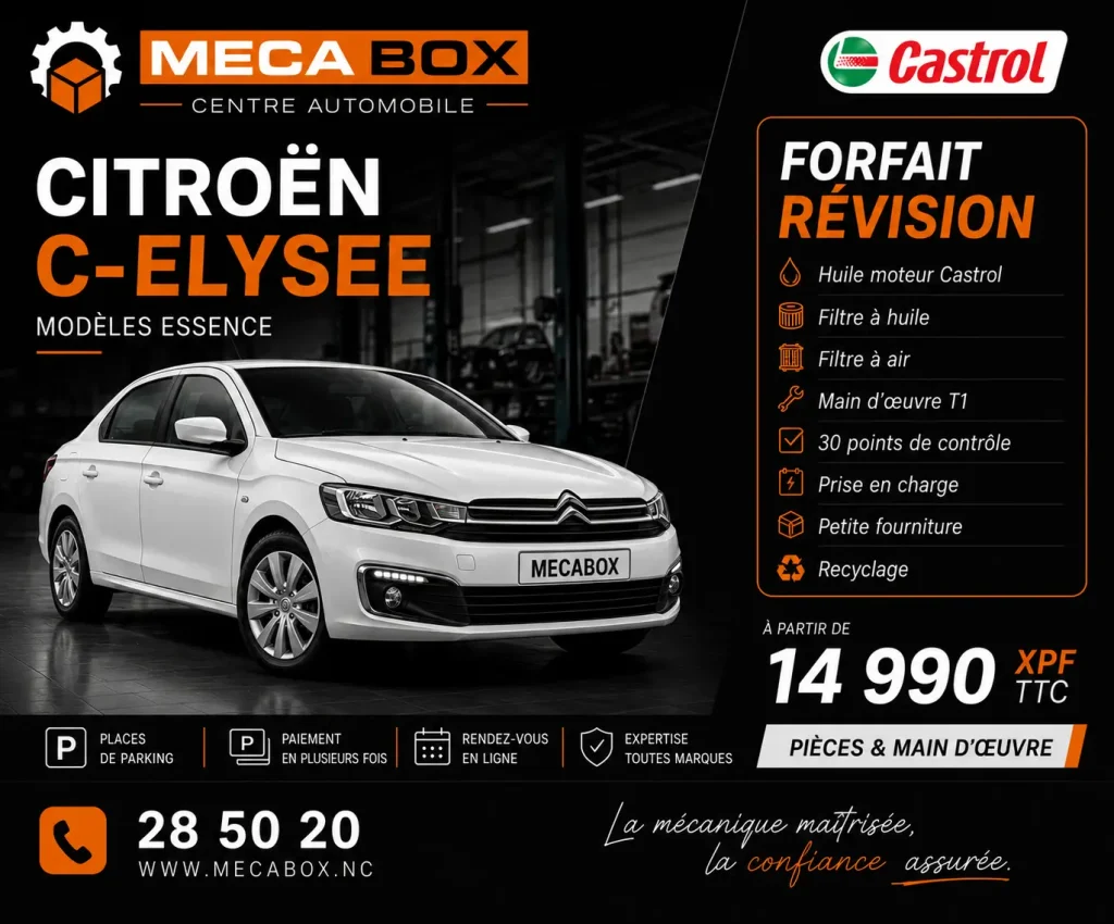 Fo-rev C-elysee - site WWW - IA