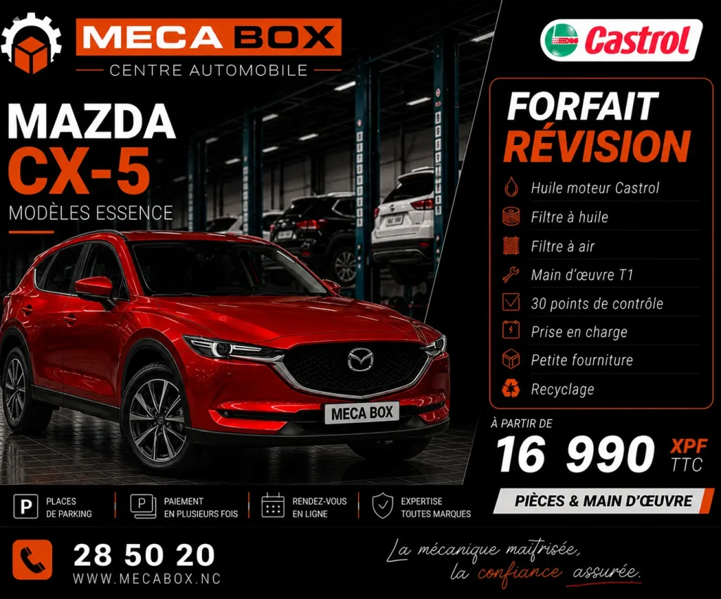 Fo-rev CX5 - site WWW - IA
