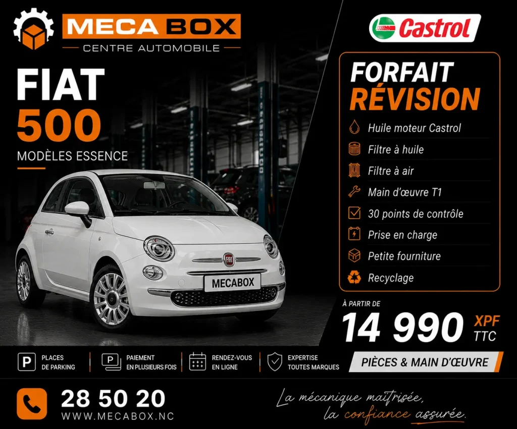 Fo-rev Fiat 500 - site WWW - IA