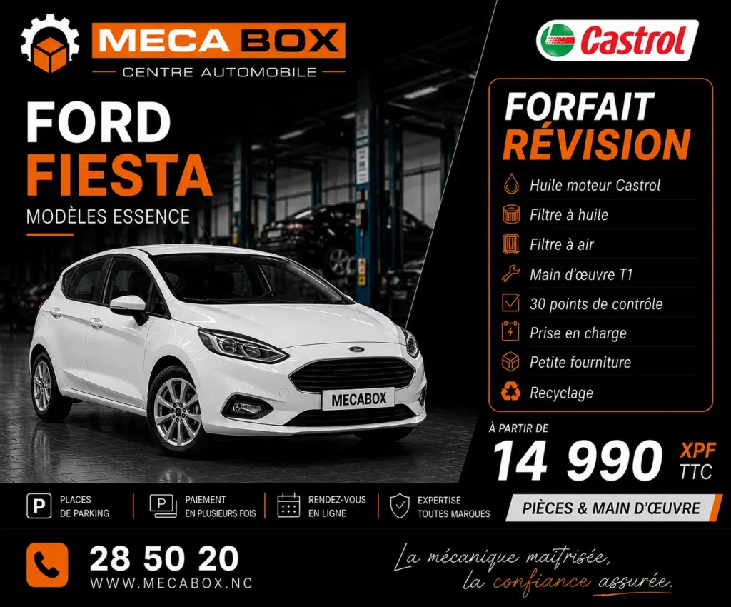 Fo-rev Fiesta - site WWW - IA