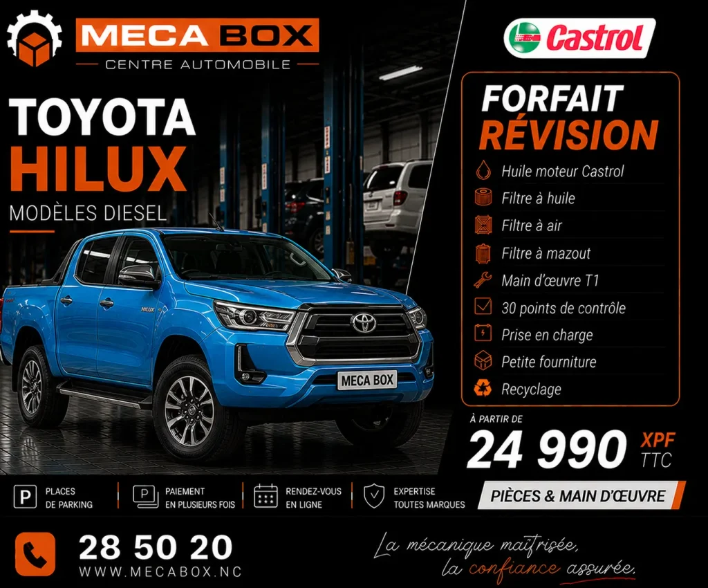 Fo-rev Hilux - site WWW - IA
