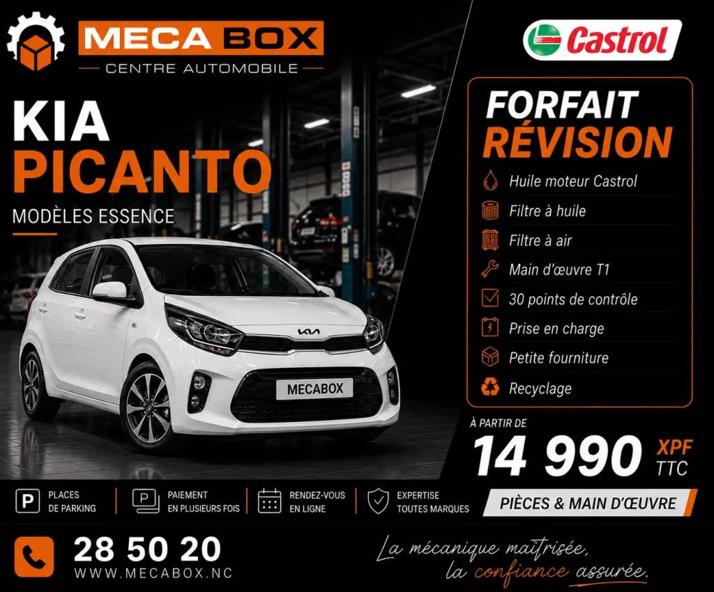 Fo-rev Picanto - site WWW - IA