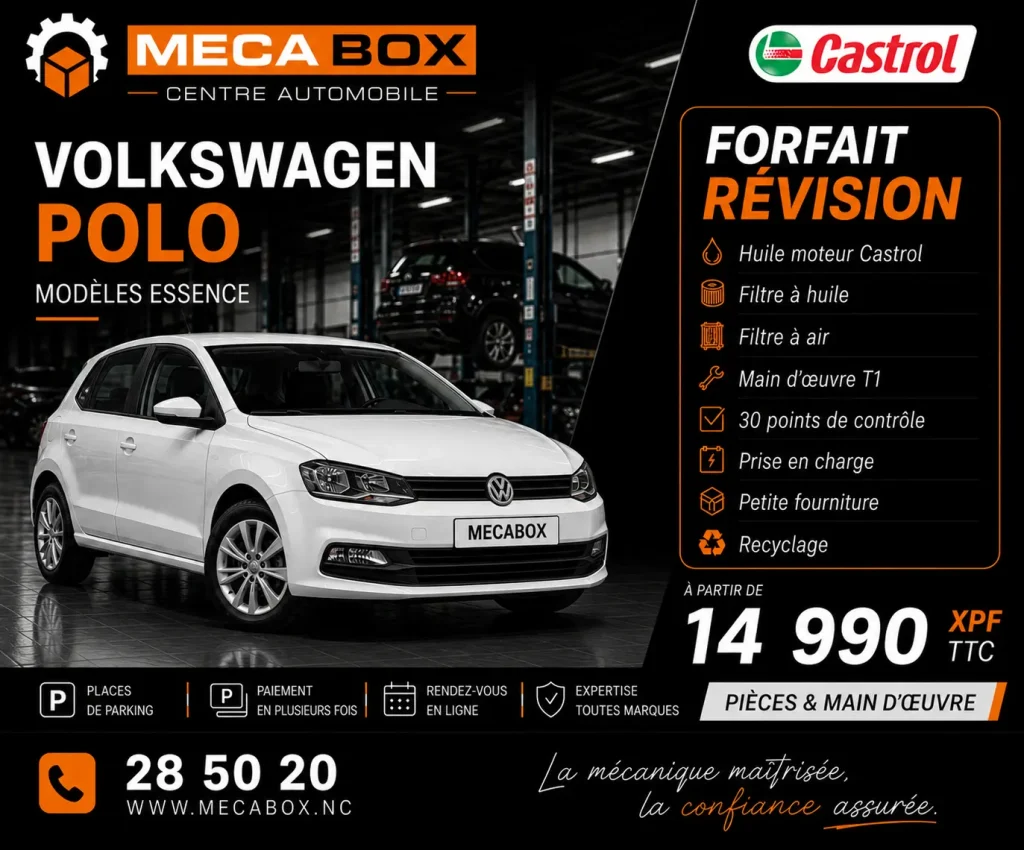 Fo-rev Polo - site WWW - IA