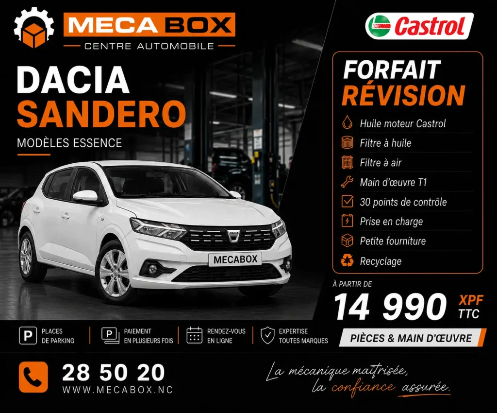 Fo-rev Sandero - site WWW- IA