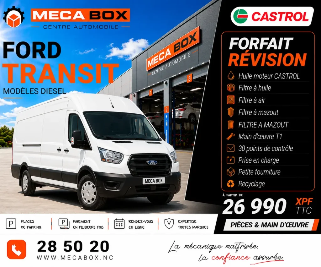Fo-rev Transit - site WWW - IA